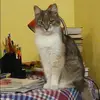 Отзыв от Майя Одинцова